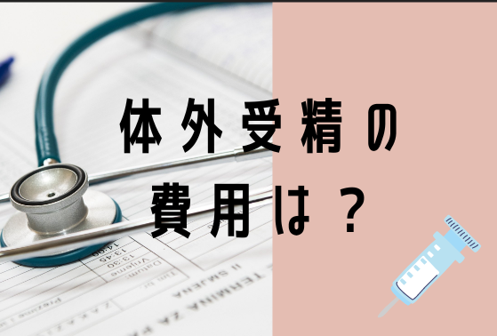 体外受精の費用は?